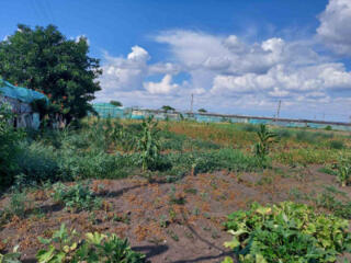 Участок 13 соток в с. Великий Дальник