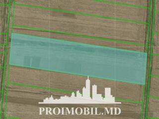 Spre vânzare se oferă teren agricol, situat în Criuleni. ...
