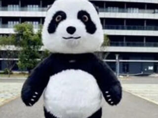 Предлагаю к вашим услугам на праздники