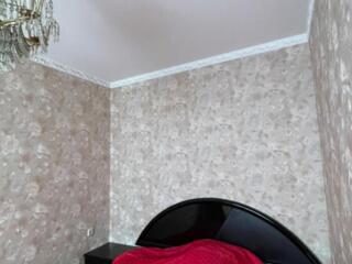 Сдам 3-комнатную квартиру на Нежинской/ Л. Толстого