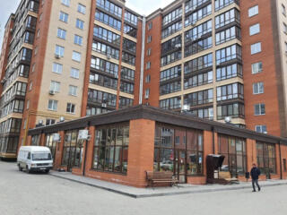 Продам цокольное помещение в ЖК "Чайка" (ул.Плиева)