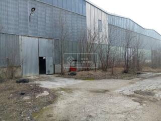 Se oferă spre chirie spațiu industrial, în sectorul Buiucani, strada .