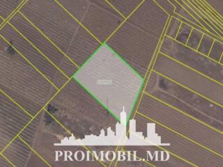 Spre vânzare se oferă teren agricol, situat în or. Ialoveni. ...