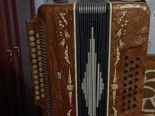 Гармонь Белорусь