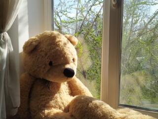 Продам большого Медведя