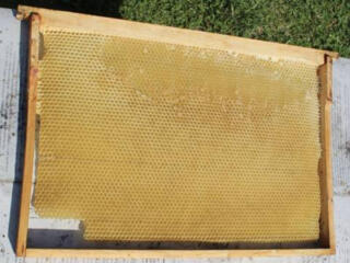 Продам сушь