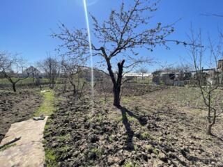 Терновка, ул. Матросова