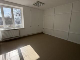 Аренда в центре города Бендеры