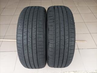 Пара R 17.215/55