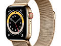 Apple Watch Series 6 GPS + Cellular 40mm Gold Stainless Steel Case wit