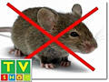 Отпугиватели грызунов (мышей, крыс) ультразвуковые. Для жилых помещений и складов.