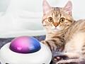 Интеллектуальная игрушка для кошек НЛО