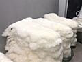 Шкура овечья натуральная. Новая. Высокий ворс. Новая Зеландия. 190х65.