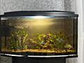 Продается аквариум