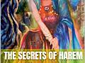 The Secrets of Harem – Vol. 1 - Author Iulia Jilinschi