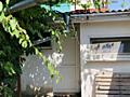 Предлагается к продаже дом 65 м.кв. на 10 сотках земли в с.Фонтанка. 