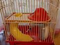 Продам клетку для мелких грызунов