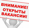 Отличная вакансия с быстрым выездом.