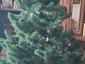 Продается ёлка 2 м. Цена 1600 руб.