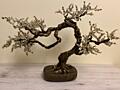 Продам интерьерные деревья-бонсай ручной работы
