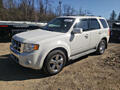 Ford escape hybrid limited 2010 (Mazda Tribute)