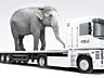 Трал для перевозки негабаритных грузов д 13х ш 3х в 0,8м 15 тн.