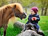 Спешите порадовать детей и себя катанием на лошадях и милых пони.