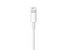 Apple A2441 / Lightning to USB-C Cable 2m /