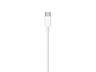 Apple A2441 / Lightning to USB-C Cable 2m /