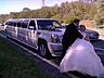 Большой выбор лимузинов на свадьбу ''Elitelimo" 50 евро в час