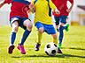Футбольная школа для детей "Sport Land" (3-7 лет)