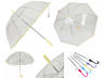 Прозрачный зонт с окантовкой. Доставка по Кишиневу