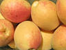 Саженцы абрикоса - Надежда (ананасовый), Киото...