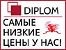 Качественные и оперативные переводы только в Diplom, апостиль, акции.