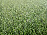 Трава искусственная 40 мм