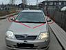 Наклейка на авто или мото Питбуль Белая светоотражающая