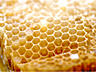 Мёд в сотах. Натуральный мёд от производителя! Другие продукты пчёл.