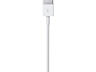 Apple A1480 / Lightning to USB 1m