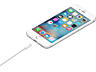 Apple A1480 / Lightning to USB 1m