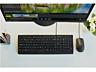 Lenovo Essential Keyboard + Mouse 4X30L79912 /