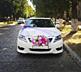 Белоснежные Тойота Камри на торжество(Свадьба, венчание, выписка т. п)