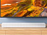 Xiaomi Mi TV Speaker /