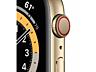 Apple Watch Series 6 GPS + Cellular 40mm Gold Stainless Steel Case wit