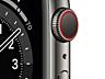 Apple Watch Series 6 GPS + Cellular 44mm Graphite Stainless Steel Case