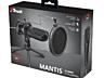 Trust Gaming GXT 232 Mantis USB Streaming Microphone /