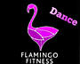 Dansatori la nunti si cumatrii. Show ballet Flamingo