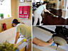 Curățenie generală sau după reparație în case şi apartamente!