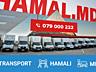 Hamali Chisinau - Mutari oficii si apartamente 