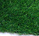 Декоративная и спортивная искусственная трава. Рассрочка от Эксимбанка