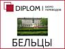 Только точный перевод имеет значение! Diplom в Кишинёве и в регионах.